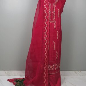 Pakistani Inspired Premium Tissue Dress - Deep Magenta - Image 2