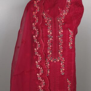 Pakistani Inspired Premium Tissue Dress - Deep Magenta - Image 4